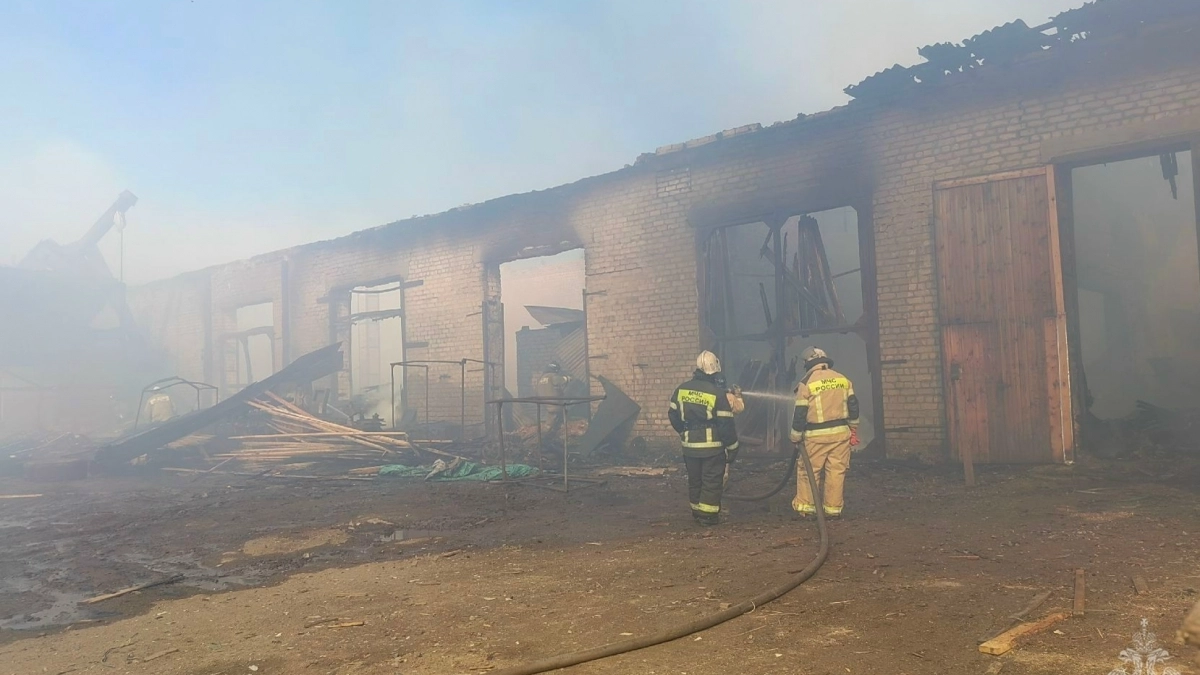 500 "квадратов" цеха деревообработки охватило огнем в Лузском районе