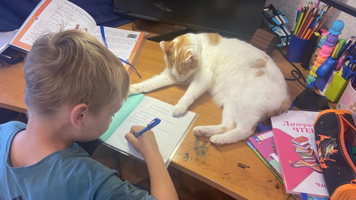 За диктант получите неуд, если ошибетесь: двоечники пишут слово наобум, но правильный вариант один - пройдите тест на грамотность