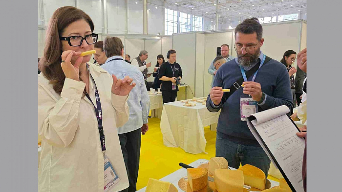 Сыр из Кировской области стал победителем всероссийского конкурса