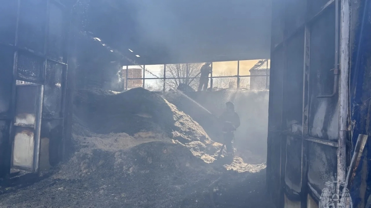 Мощный пожар тушили огнеборцы в деревообрабатывающем цехе в Слободском районе