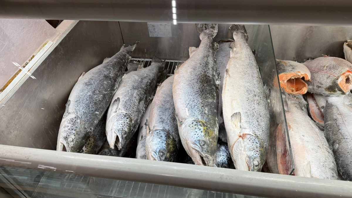 Замачиваю рыбу в простом рассоле перед жаркой: вкус как в ресторане - и никакого неприятного запаха