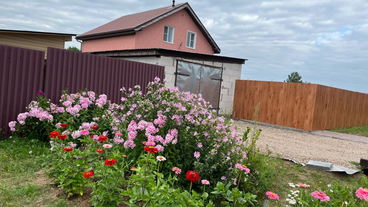 5 неубиваемых многолетников, которые я больше никогда не буду поливать: сами задавят сорняки и переживут засуху