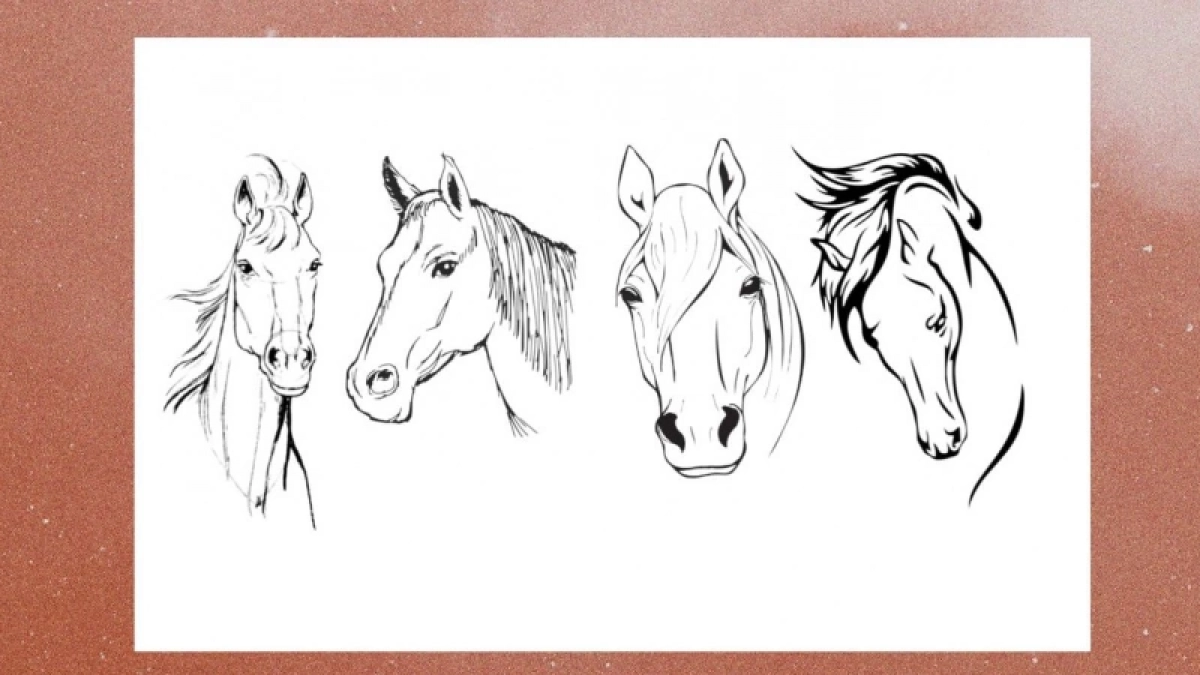 Выберите лошадь - и узнайте, чем "цепляете" противоположный пол: точность этого теста достигает 99%