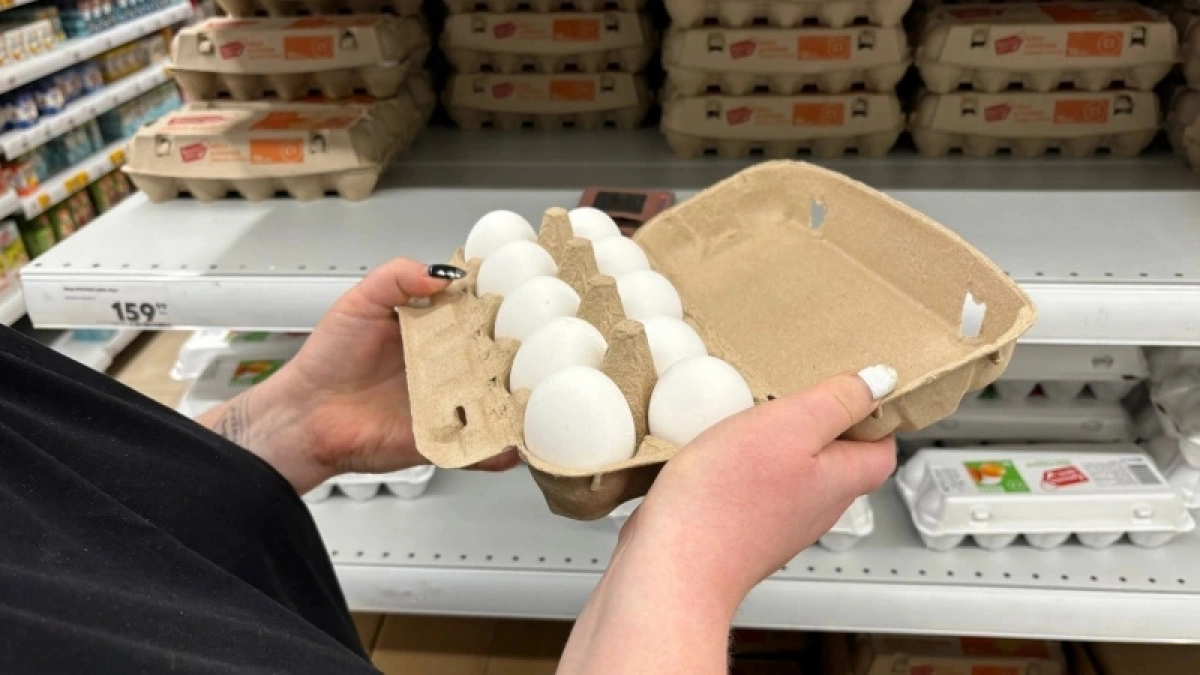 Больше никогда не куплю домашние яйца - и вот почему. Сравнила их с магазинными и ахнула