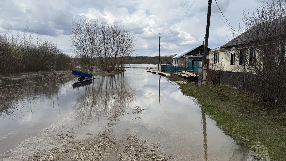 Уровень воды в Вятке продолжает расти: подтоплены более 100 придомовых территорий