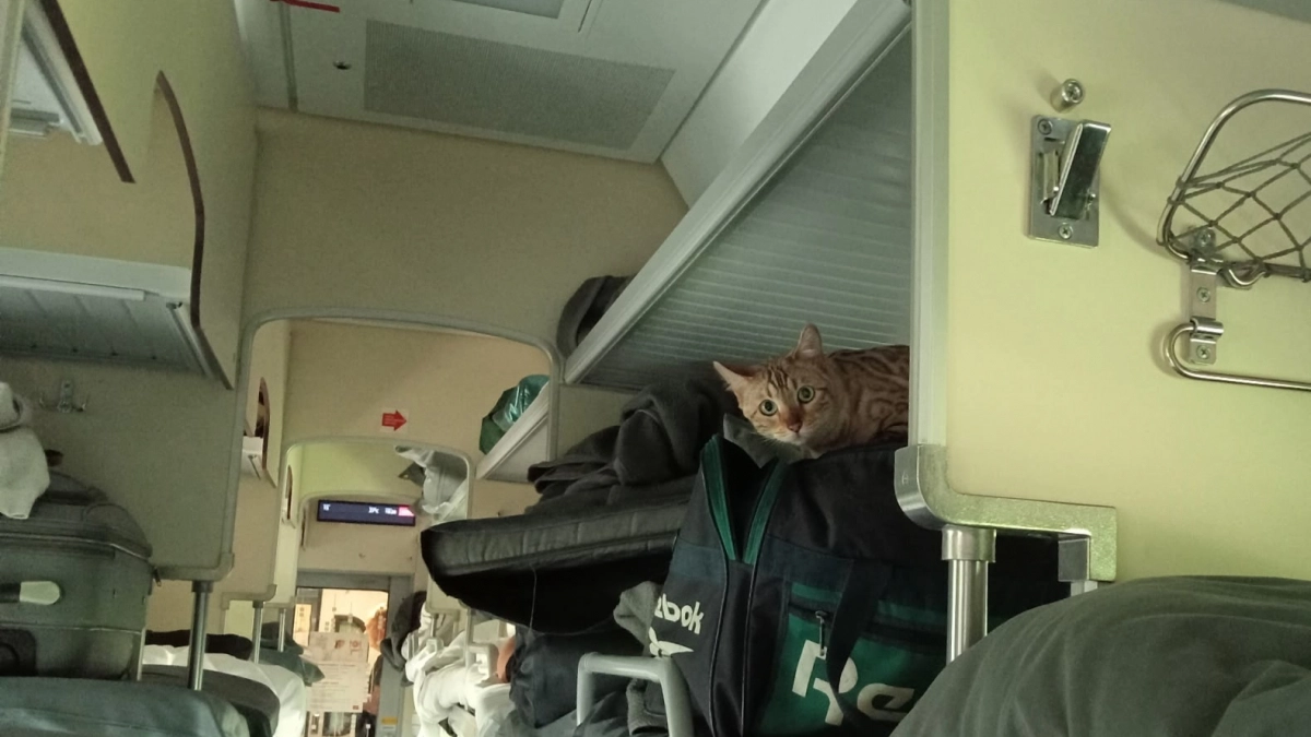 "Не спали из-за нее всем вагоном": 7 типов пассажиров поездов, от которых страдают и попутчики, и проводники