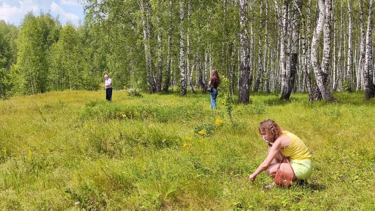 Когда идти за первыми весенними грибами: где искать сморчки и строчки и как готовить их без риска