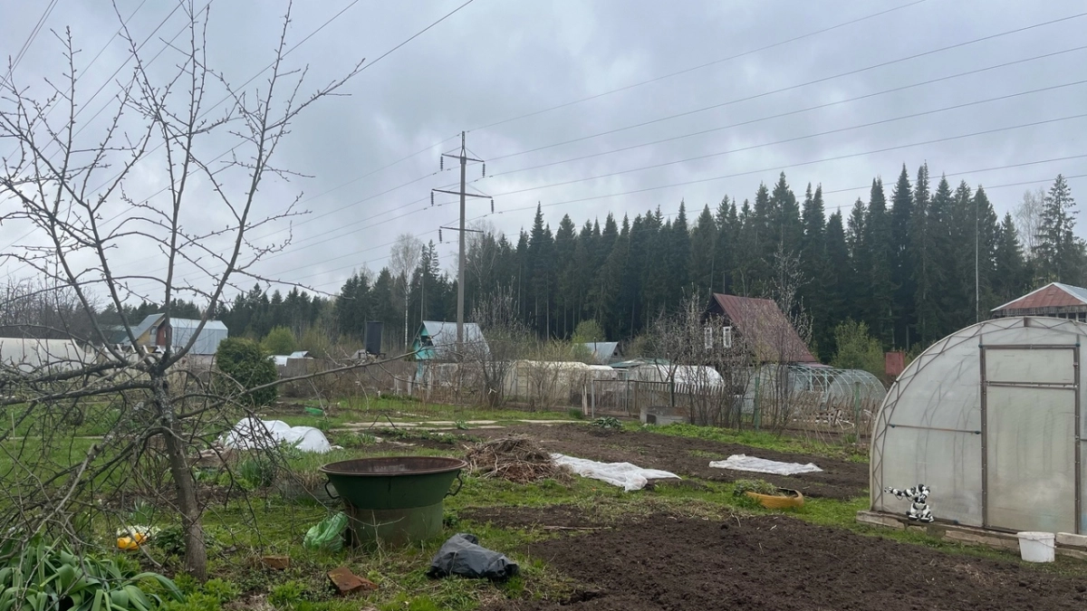 "Пшикаю" на садовые дорожки - и "сжигаю" все сорняки: за одни сутки засыхают даже пырей и молочай