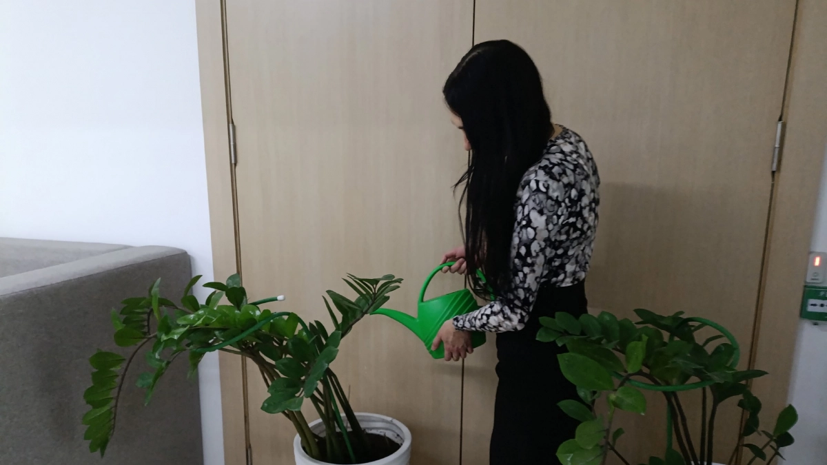 Даже бесплатно не берите - деньги на ветер: эти растения не приживутся и не порадуют