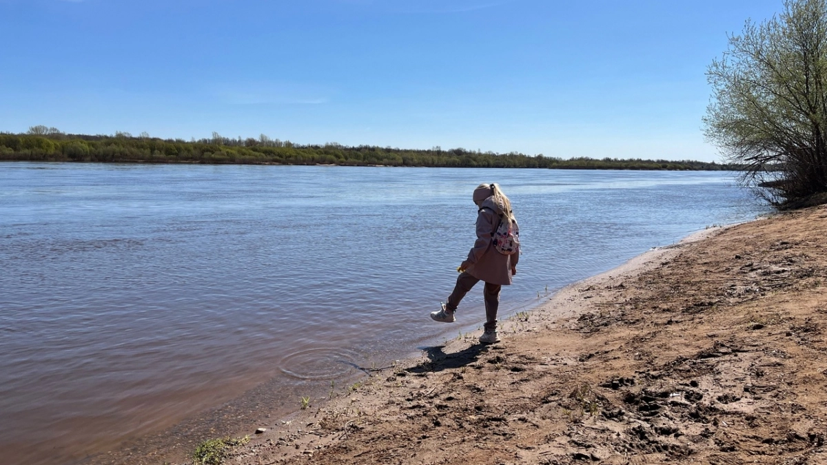 Кому сказочно повезет в 2026 году: астрологи назвали знаки-фавориты 