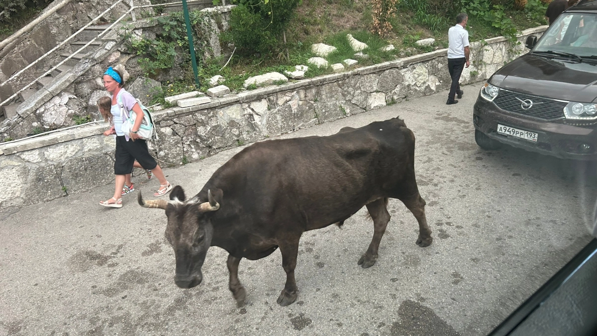 Попрошайки и разрушенные дома: российский турист поделился честным отзывом о популярном курорте 