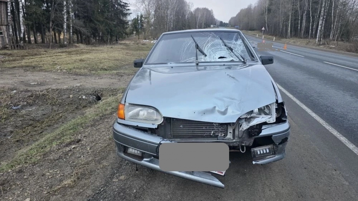 На трассе под Кировом глубокой ночью машина задавила бабушку
