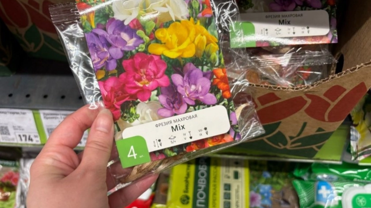 Фикс Прайс удивил - нашла кучу цветов для посадки: гладиолусы, лилии и не только. Показываю фото и цены