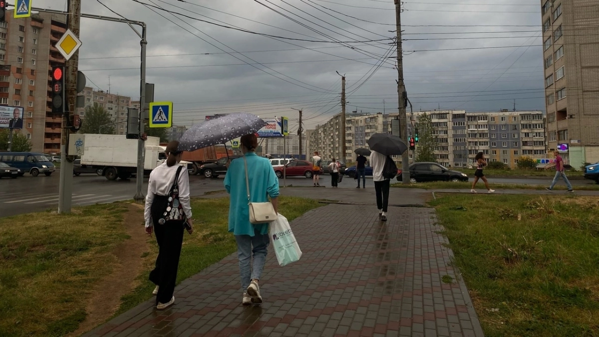 В Кировской области объявили экстренное предупреждение из-за усиления ветра