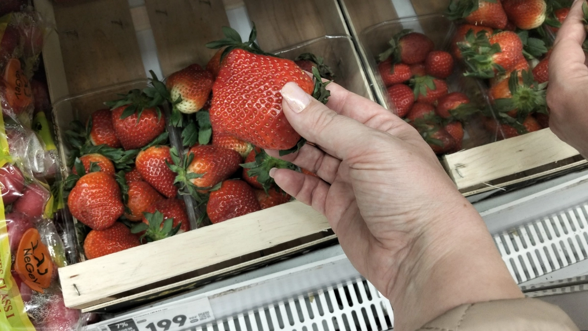 В Кировскую область ввезли 4 тонны клубники из Киргизии