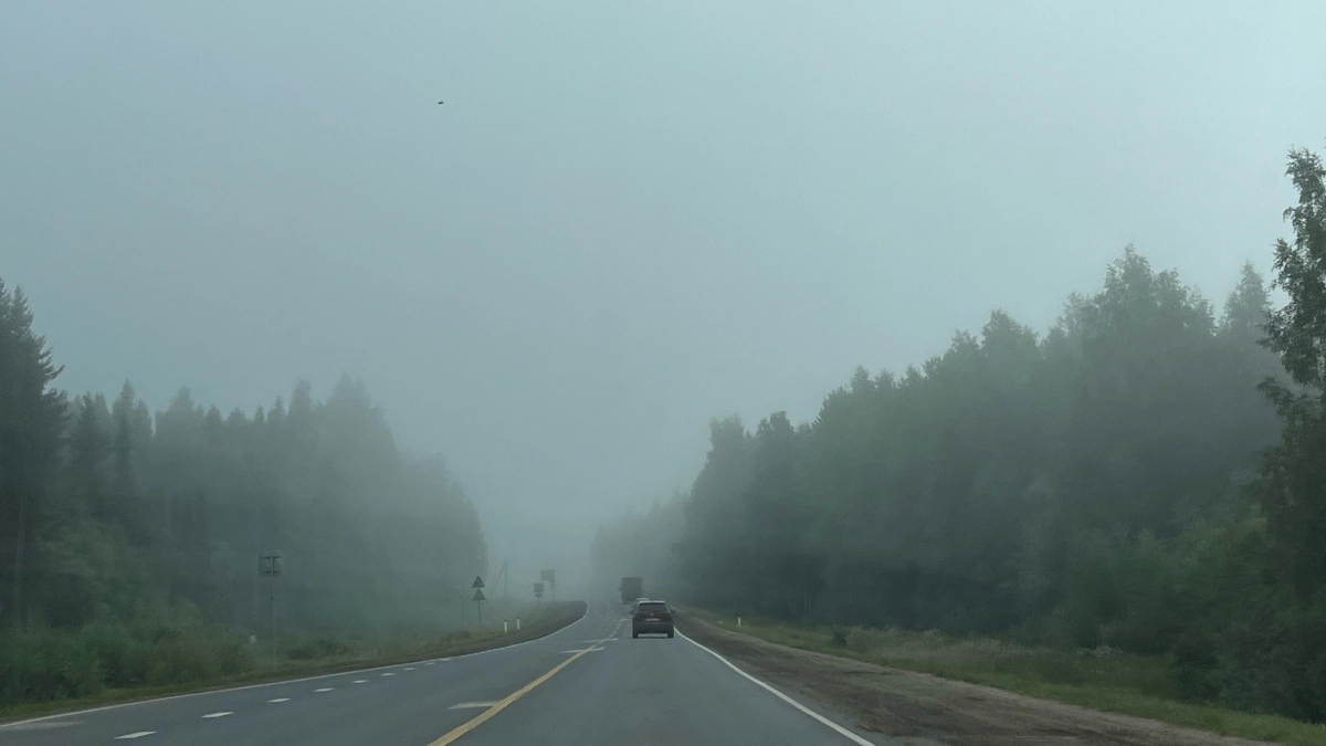 Волонтеры начали поиски мужчины, пропавшего на трассе в пригороде Кирова