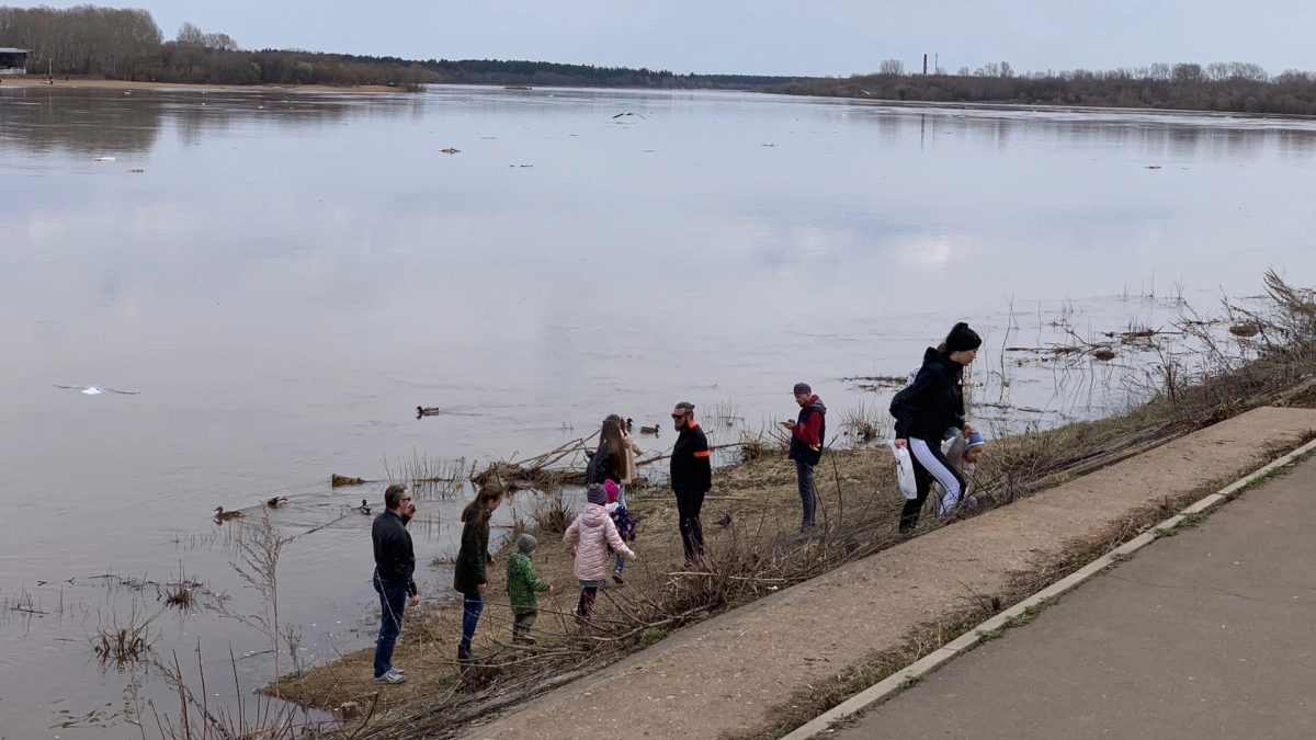 Перемены неизбежны: астрологи составили список знаков, кому 2026 год подарит новый старт