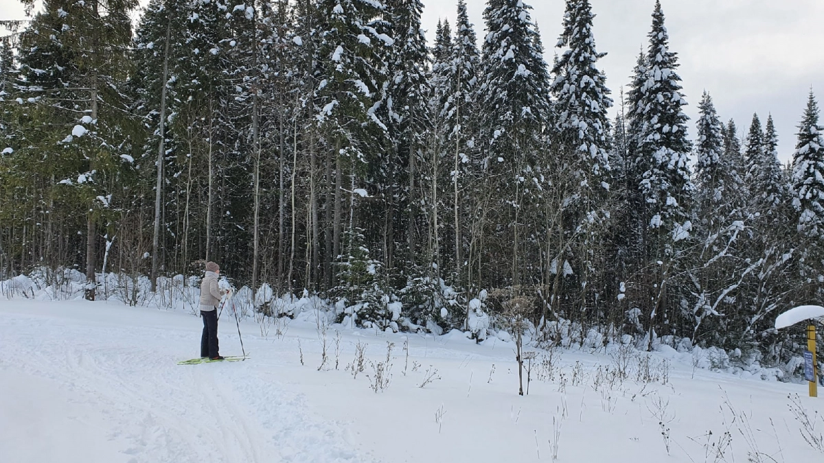 Почти 10 млн рублей выделяют на ремонт лыжероллерной трассы у трамплина в Кирове