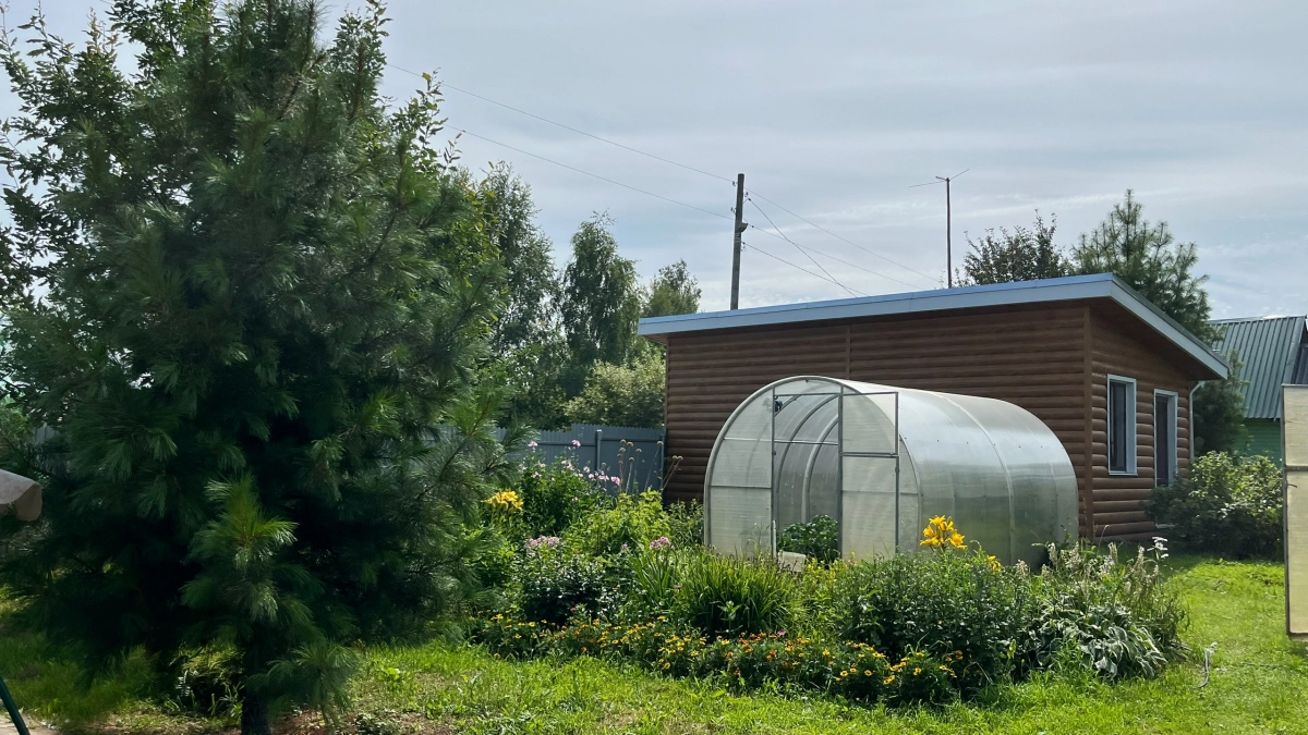 5 пар растений-врагов: что нельзя сажать рядом в саду, чтобы не погубить урожай