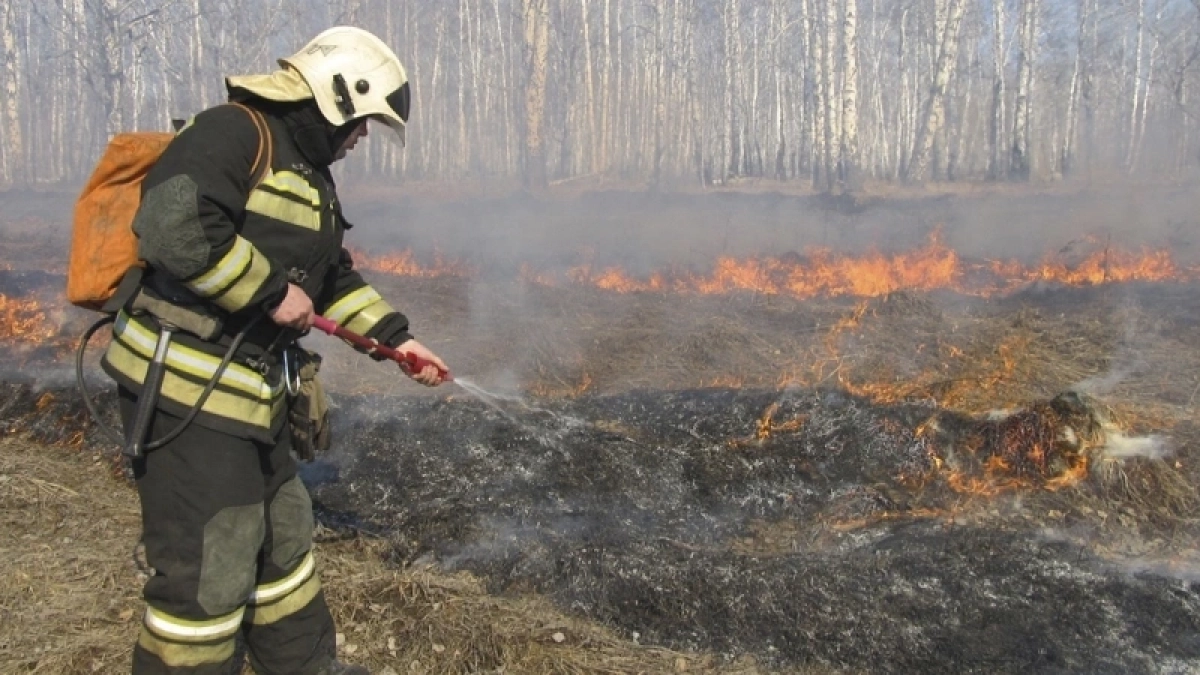 По всей Кировской области на 21 день установили особый противопожарный режим