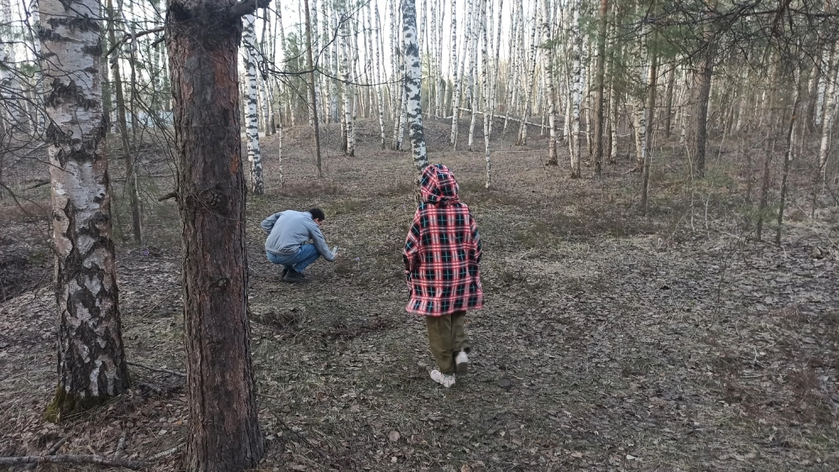 Более 6 тысяч тонн палочек для мороженого уехали из Кировской области в Китай