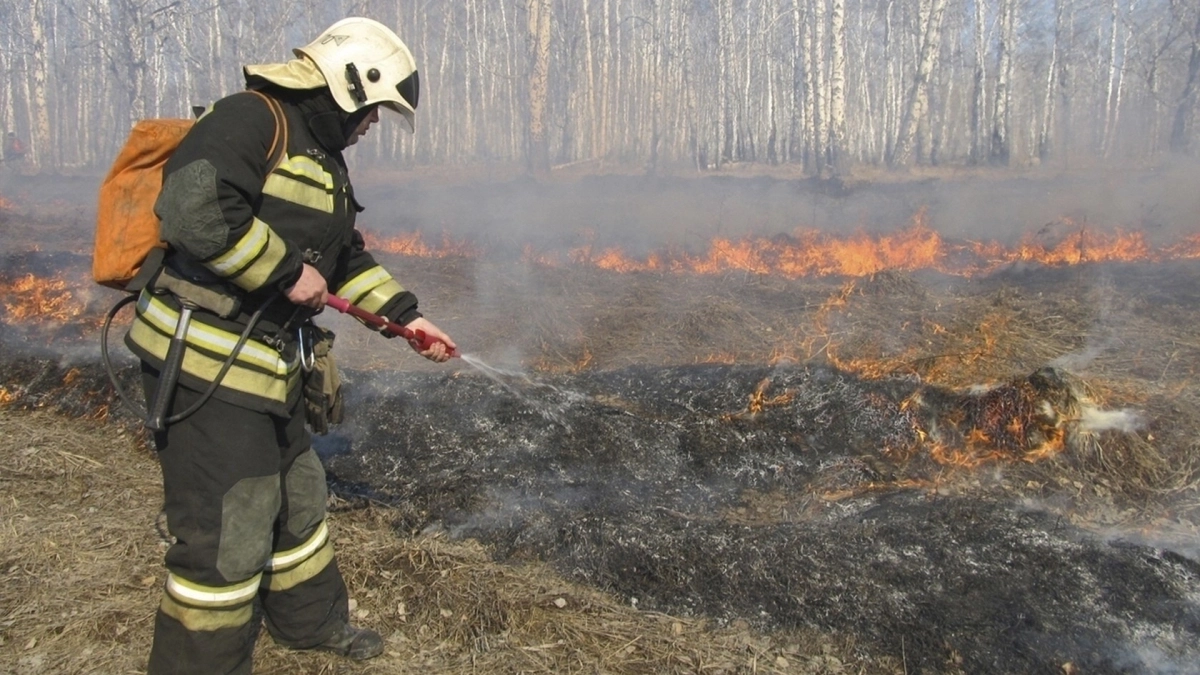 В пригороде Кирова огонь охватил 1,5 тысячи квадратных метров сухой травы