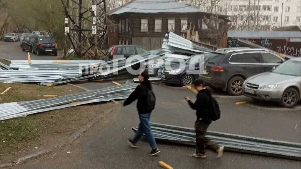 Поваленные деревья, заборы и поврежденные авто: кировчане делятся последствиями майской грозы 