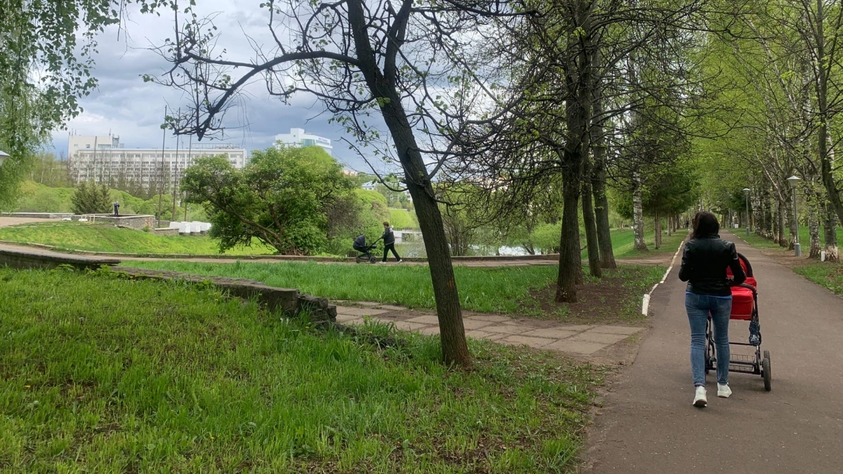 Кировчанам объявили, как будет работать социальная служба в период с 9 по 11 мая