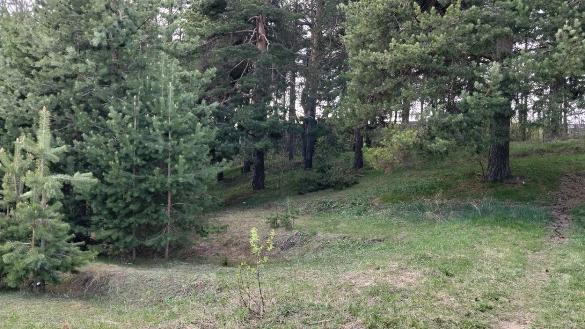 В Кировской области завершились поиски пропавшего подростка