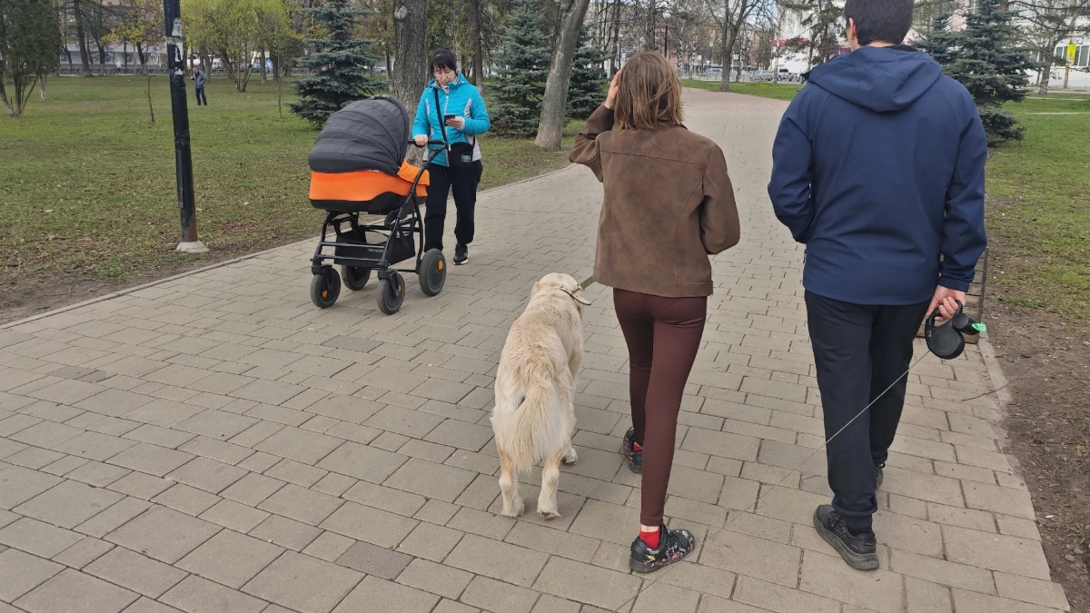 В Советске хозяйка злого пса создала угрозу распространения смертельного вируса