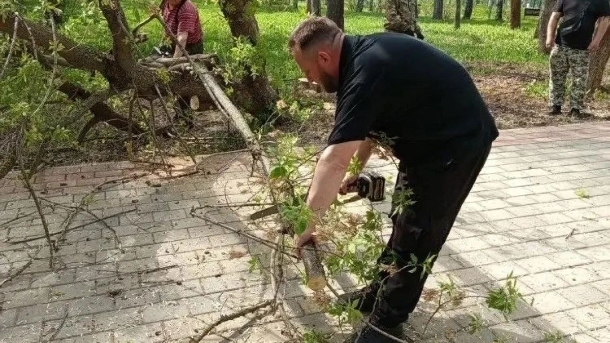 Кировские чиновники принялись своими силами вырубать деревья в парке у цирка
