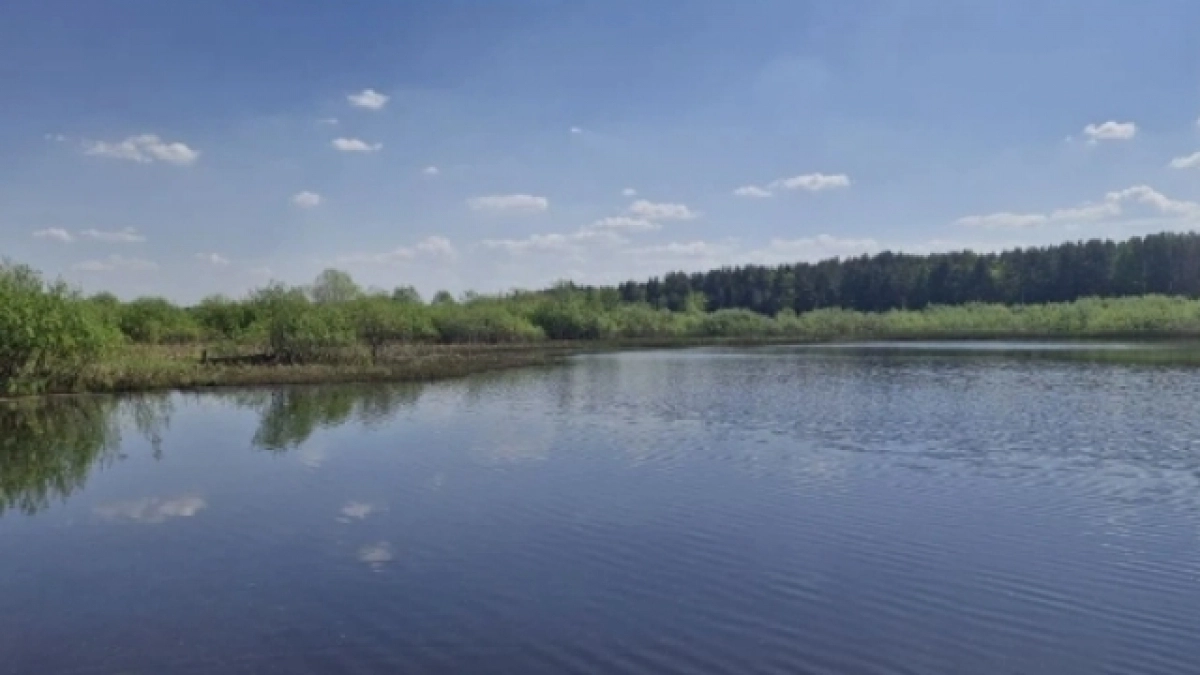 Жители крупной деревни под Кировом бьют тревогу из-за загрязнения водоема