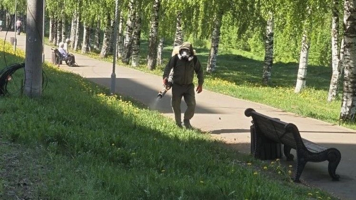 В Кирове началось масштабное опрыскивание улиц: в списке больше 20 участков