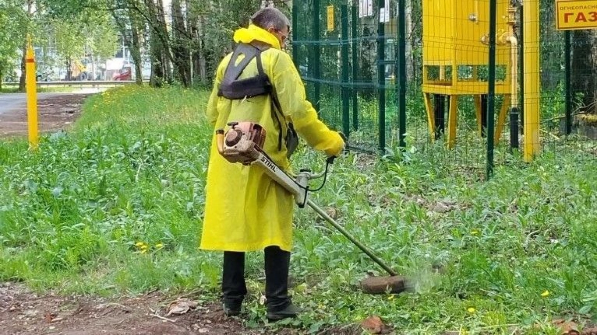 Нерадивые подрядчики оштрафованы на 600 тысяч рублей за заросший травой Киров