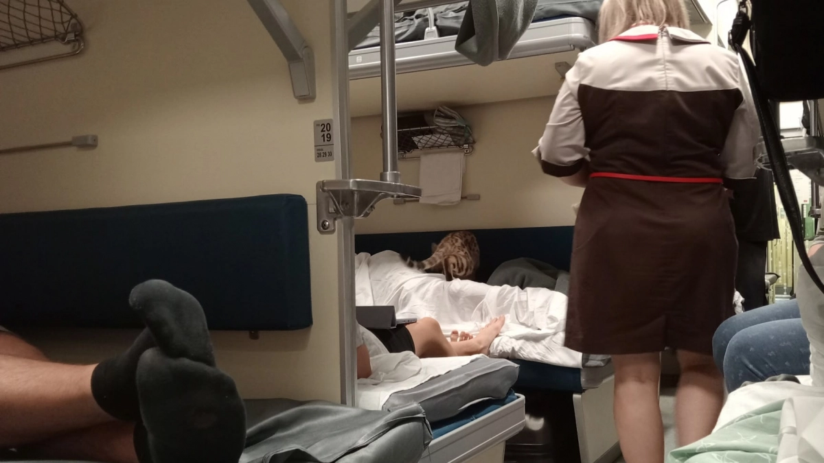 Что делать, если сосед просит уступить нижнюю полку в поезде: советы пассажирам