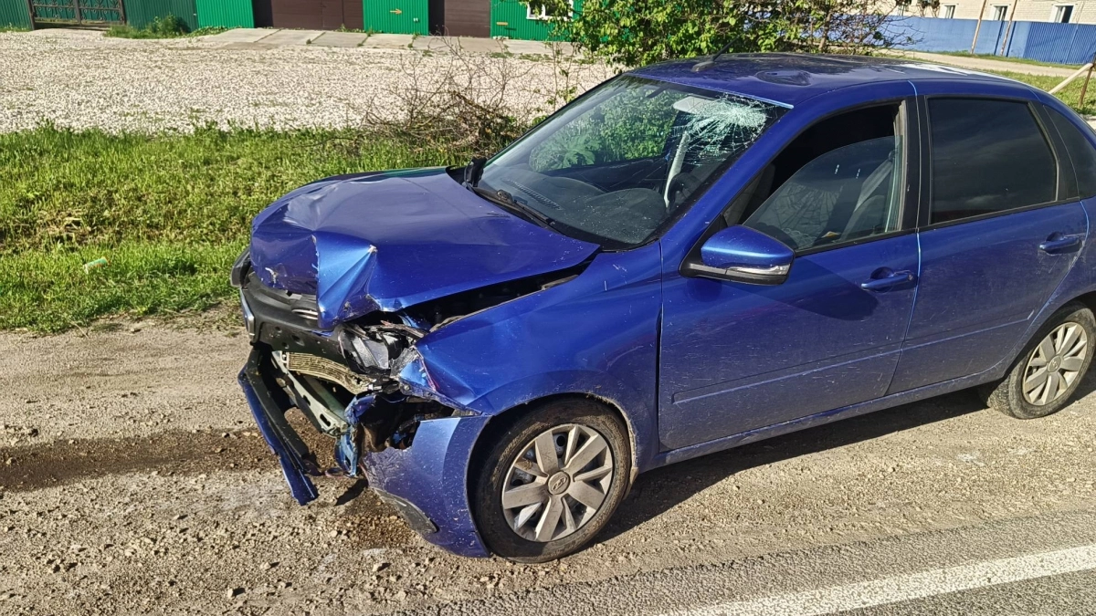 Компания женщин на иномарке покалечилась в аварии на трассе под Уржумом