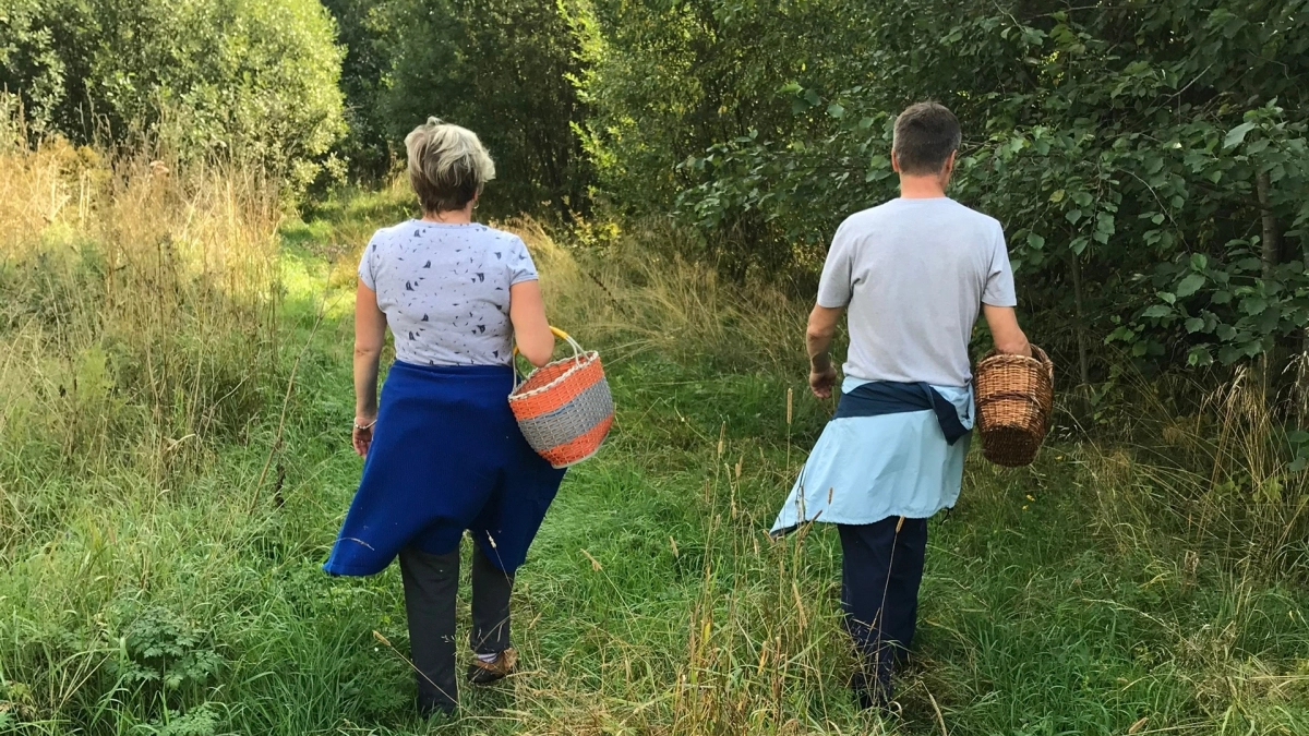 Грибной сезон открыт: что собирать в лесу в июне, если повезет с дождем