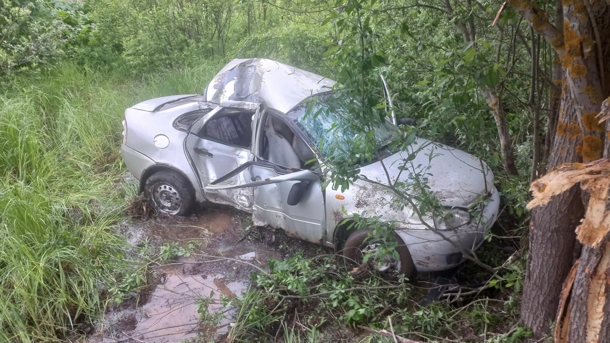 В Слободском районе пьяный гонщик взял на таран дерево в кювете