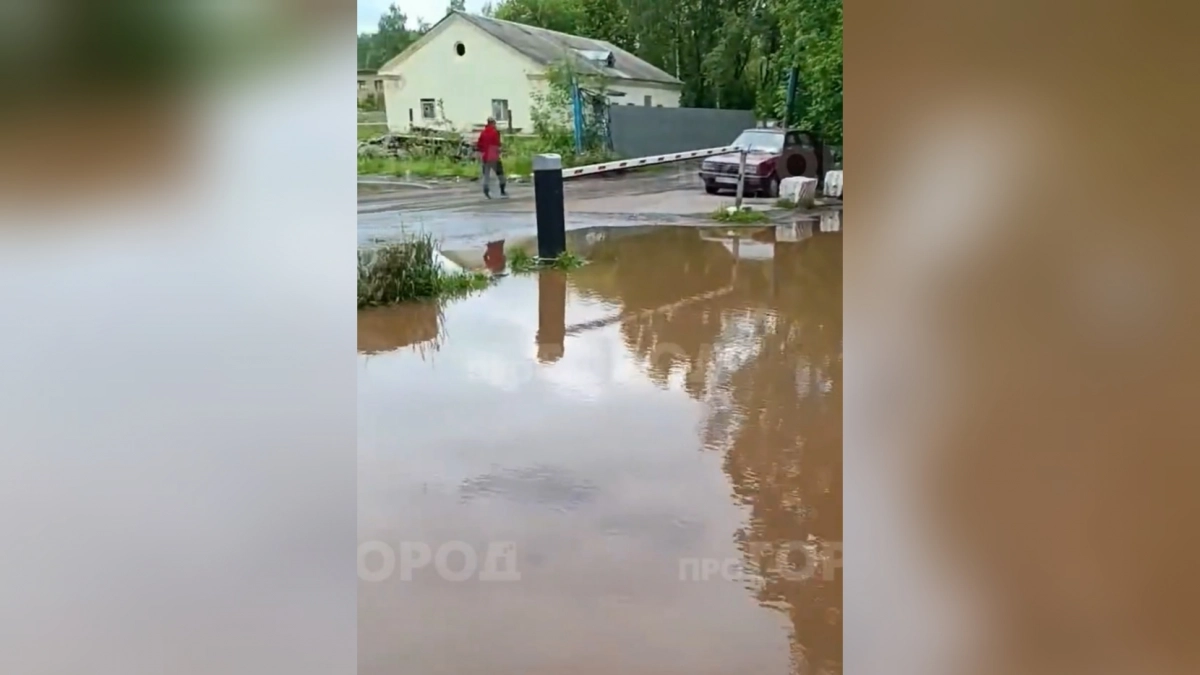 "С весны бежит вода из канализации!": кировчанка жалуется, что двор во дворе дома на Московской затопило 