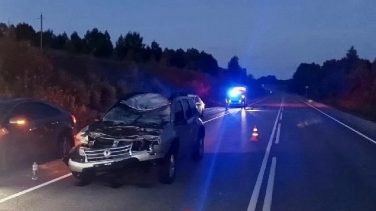 Выбежавший на трассу лось стал причиной жуткой аварии в Юрьянском районе