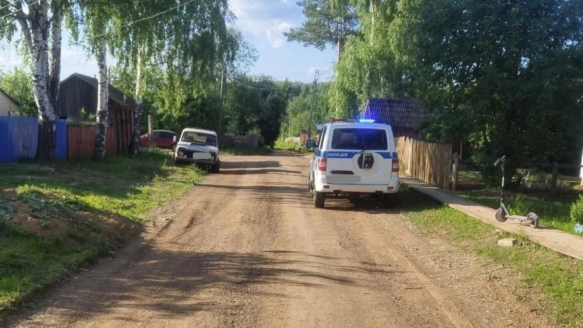 В Богородском заезд двух мальчиков на самокате по грунтовой дороге обернулся ДТП