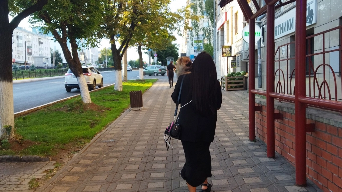 Львы забудут о важной дате в отношениях, а Рыбы будут купаться в нежности: гороскоп на 15 июня