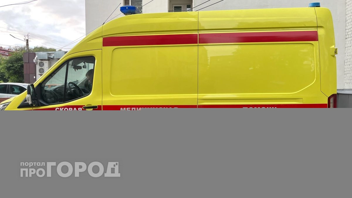 Кировская область осталась за пределами зоны риска по "мышиной лихорадке"