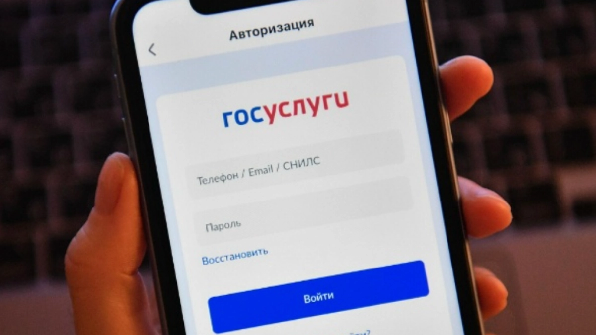 Кировчане могут оформить охотничий билет и разрешение на "Госуслугах"