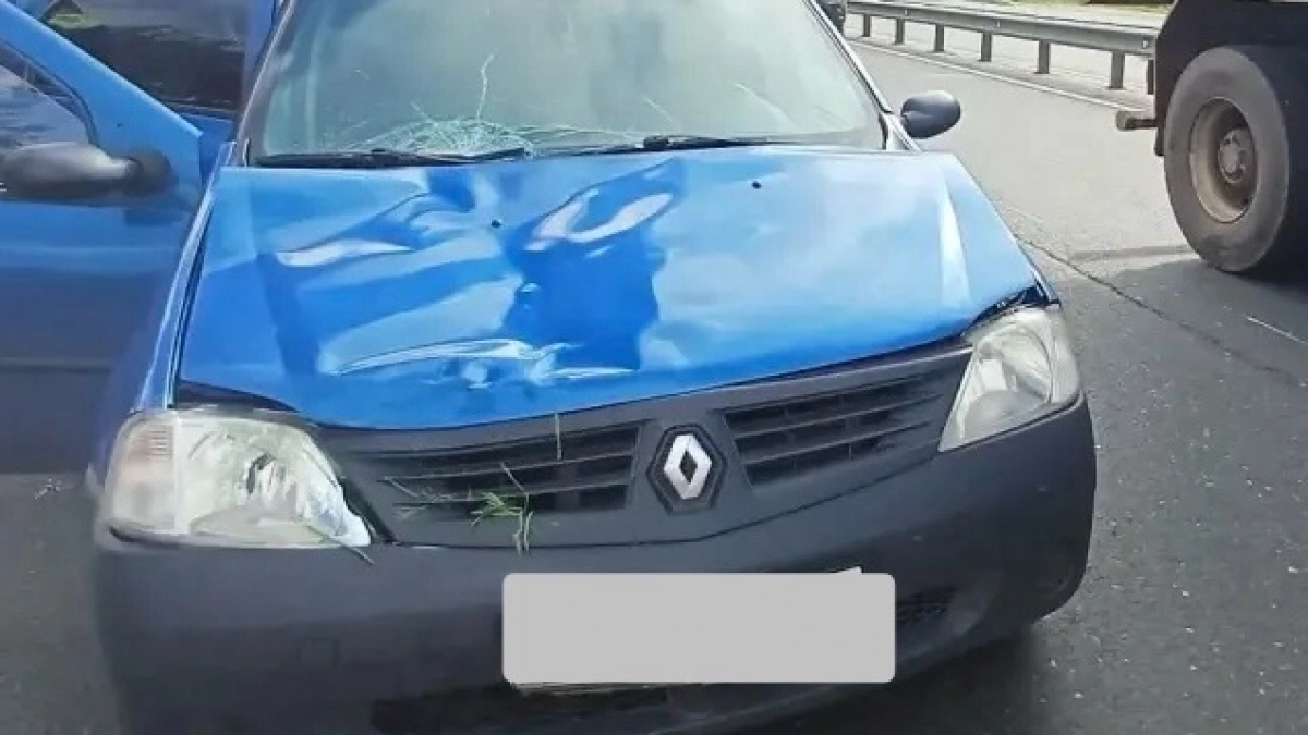 В Кирове медики не смогли спасти попавшую под иномарку женщину