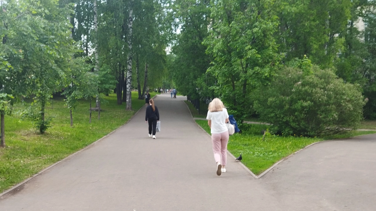 19 миллионов рублей выделили на содержание парков и скверов в Кирове