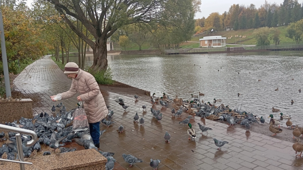 В старости пригодятся не друзья, не дети, не муж и не жена, а эти 4 вещи - полезно узнать молодым и старым