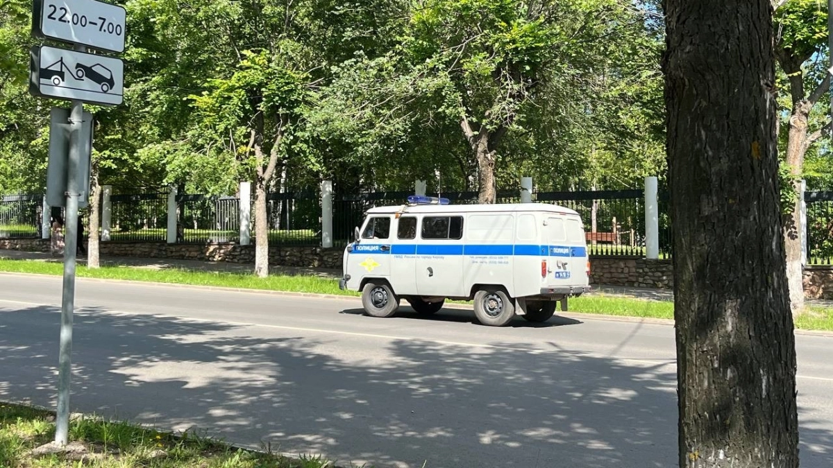 В Кирове избивший в парке ребенка мужчина объявлен полицией в розыск