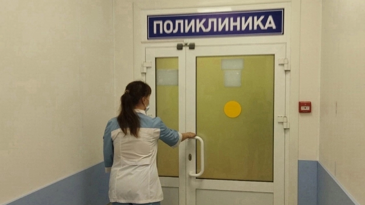 Кировская область снова попала в лидеры по числу случаев нападения клещей