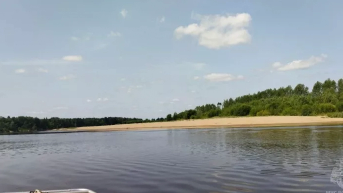 В Кирове на пруду утонул молодой мужчина